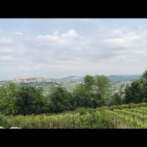 Meet your Posher, Ceci